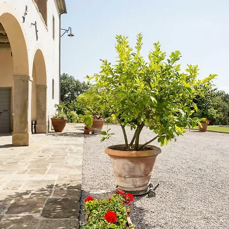 Tuscany Occhini
